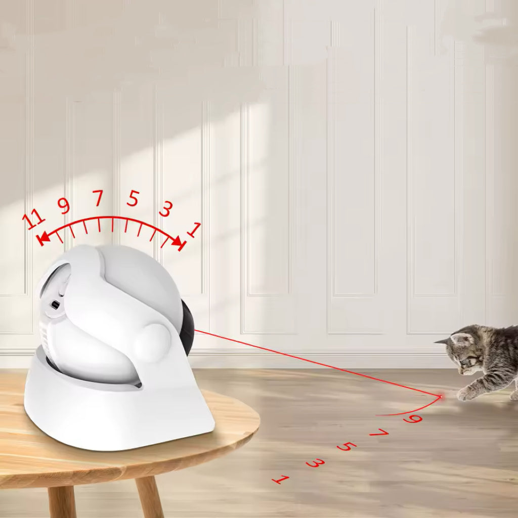 Smart Laser Toy