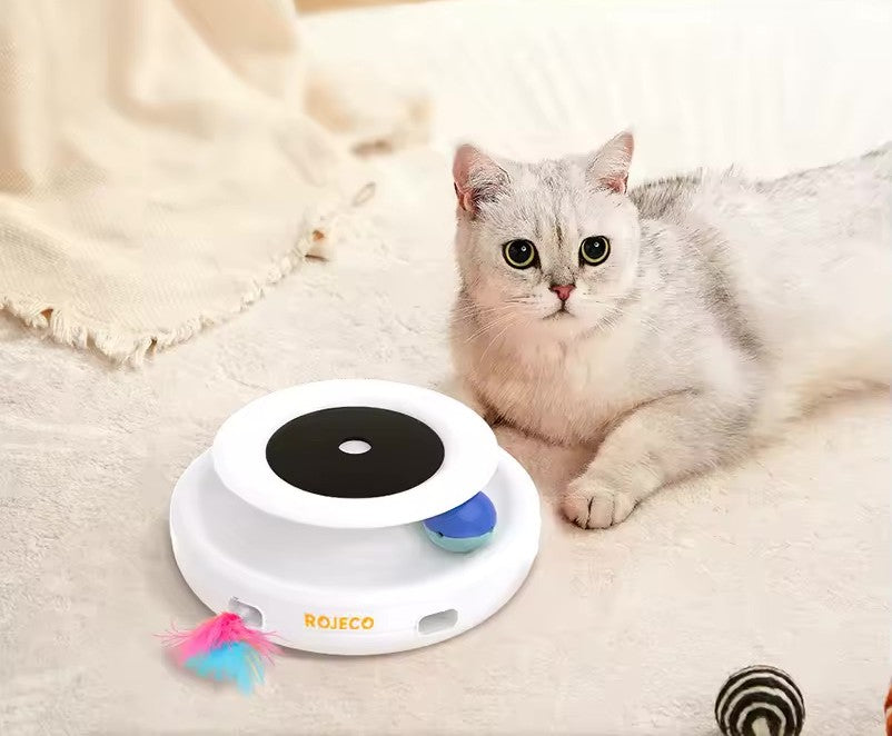 2-in-1 Smart Toy