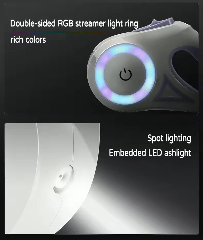 LED Light Leash
