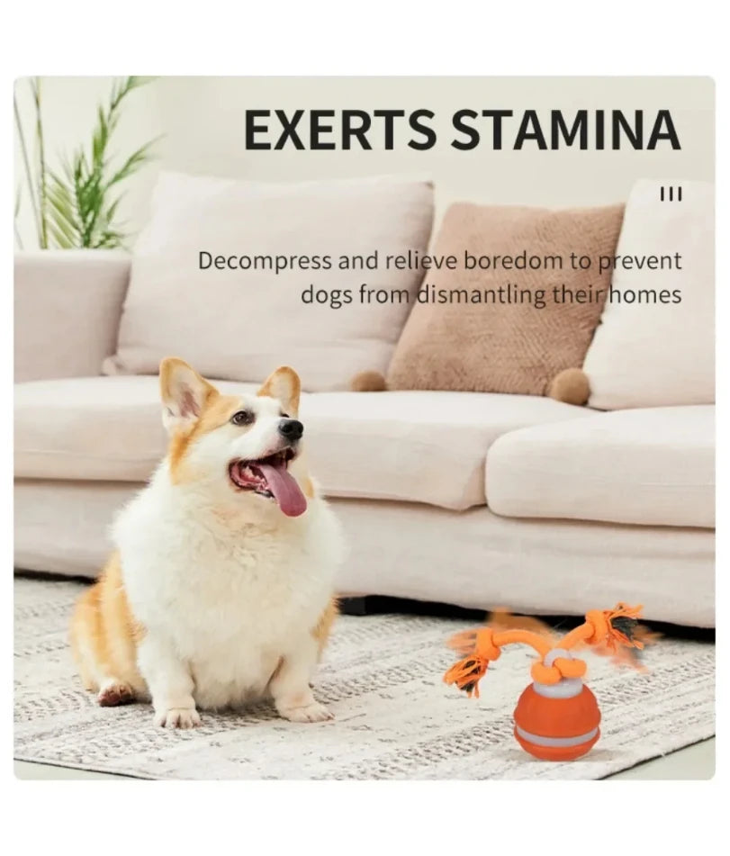 Interactive Rechargeable Dog Toy Ball with Swinging Rope