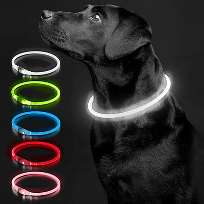 Petzrella LED Pet Collar – USB Rechargeable Night Safety