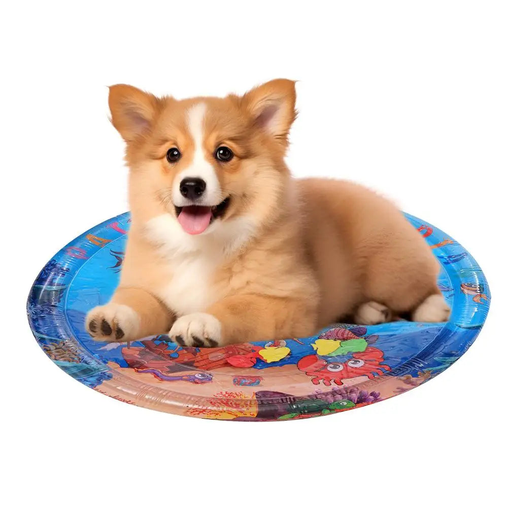 Inflatable Pet Water Play Mat