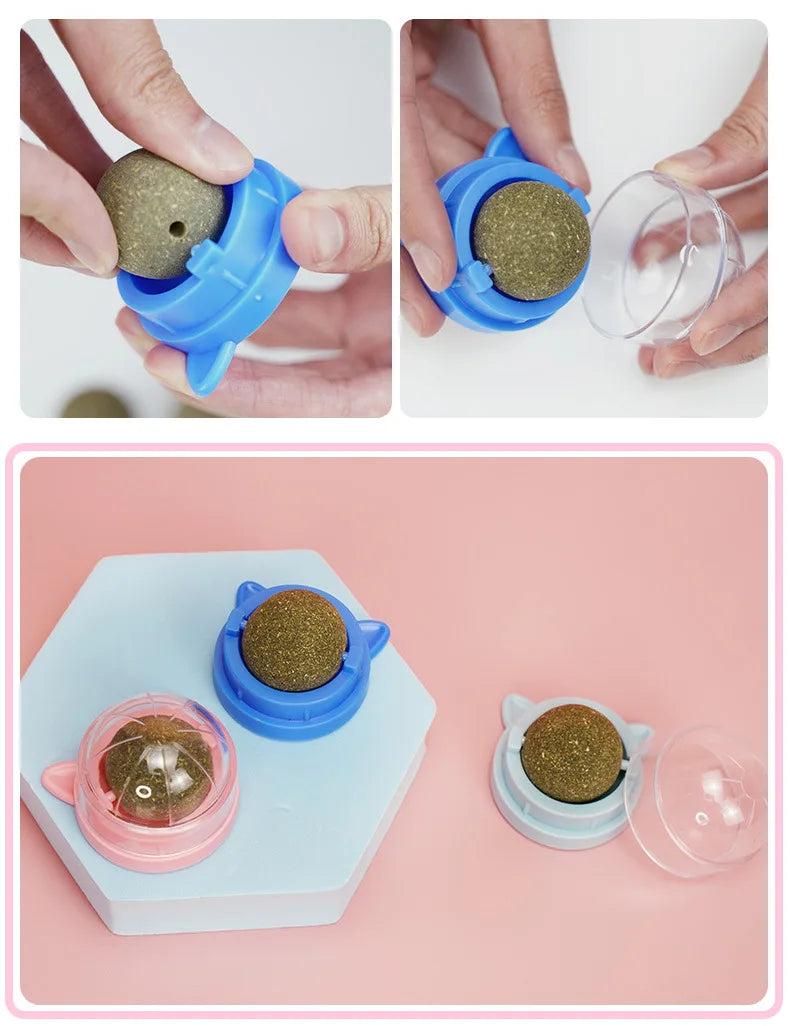 Catnip Dental Toy Set