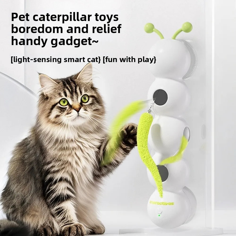Interactive Worm Toy