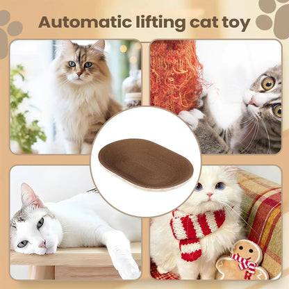 Petzrella 2-in-1 Ovaler Kratzbaum aus Karton und Liegebett für Katzen