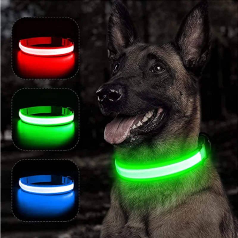LED Light-Up Safety Collar