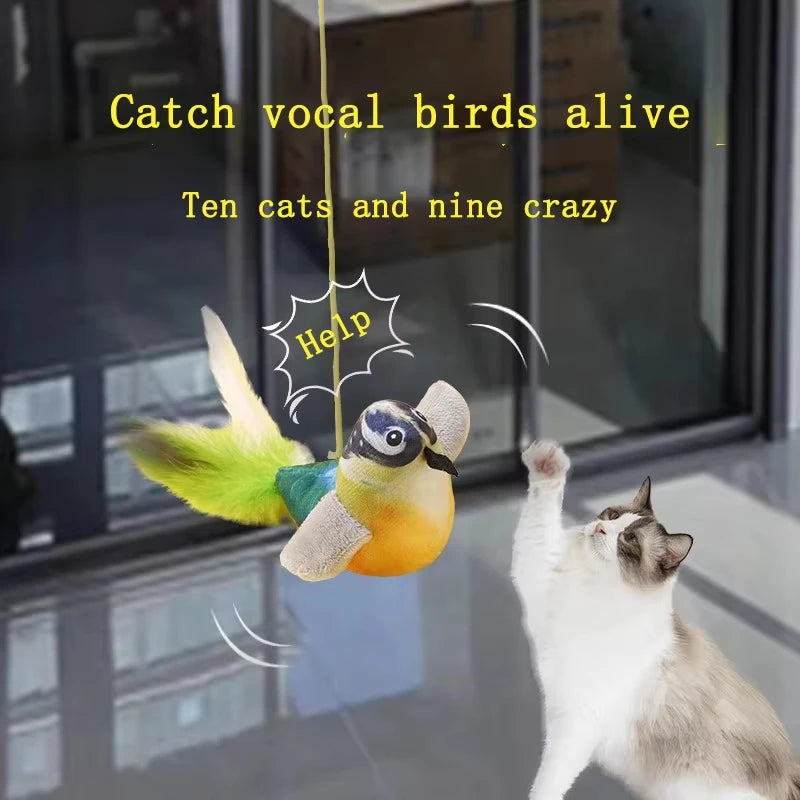 Petzrella Hängende Vogelschaukel für Katzen