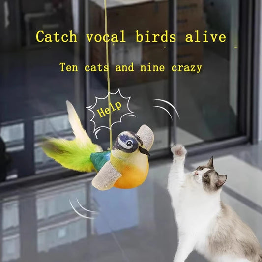 Petzrella Hängende Vogelschaukel für Katzen