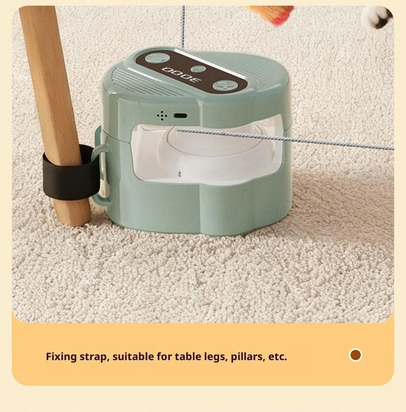 Indoor Cat Toy