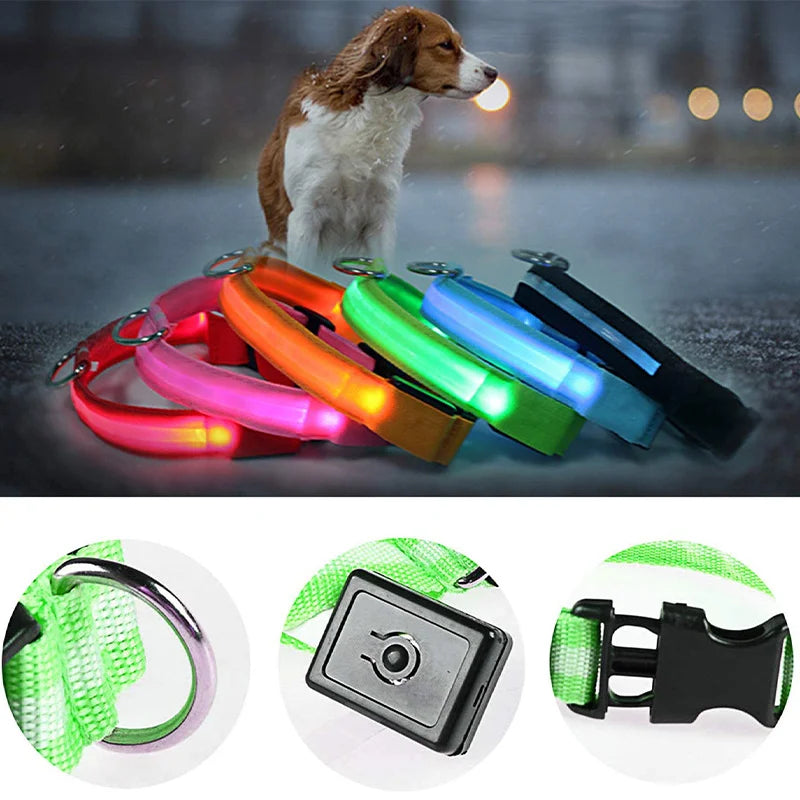 LED Light-Up Safety Collar