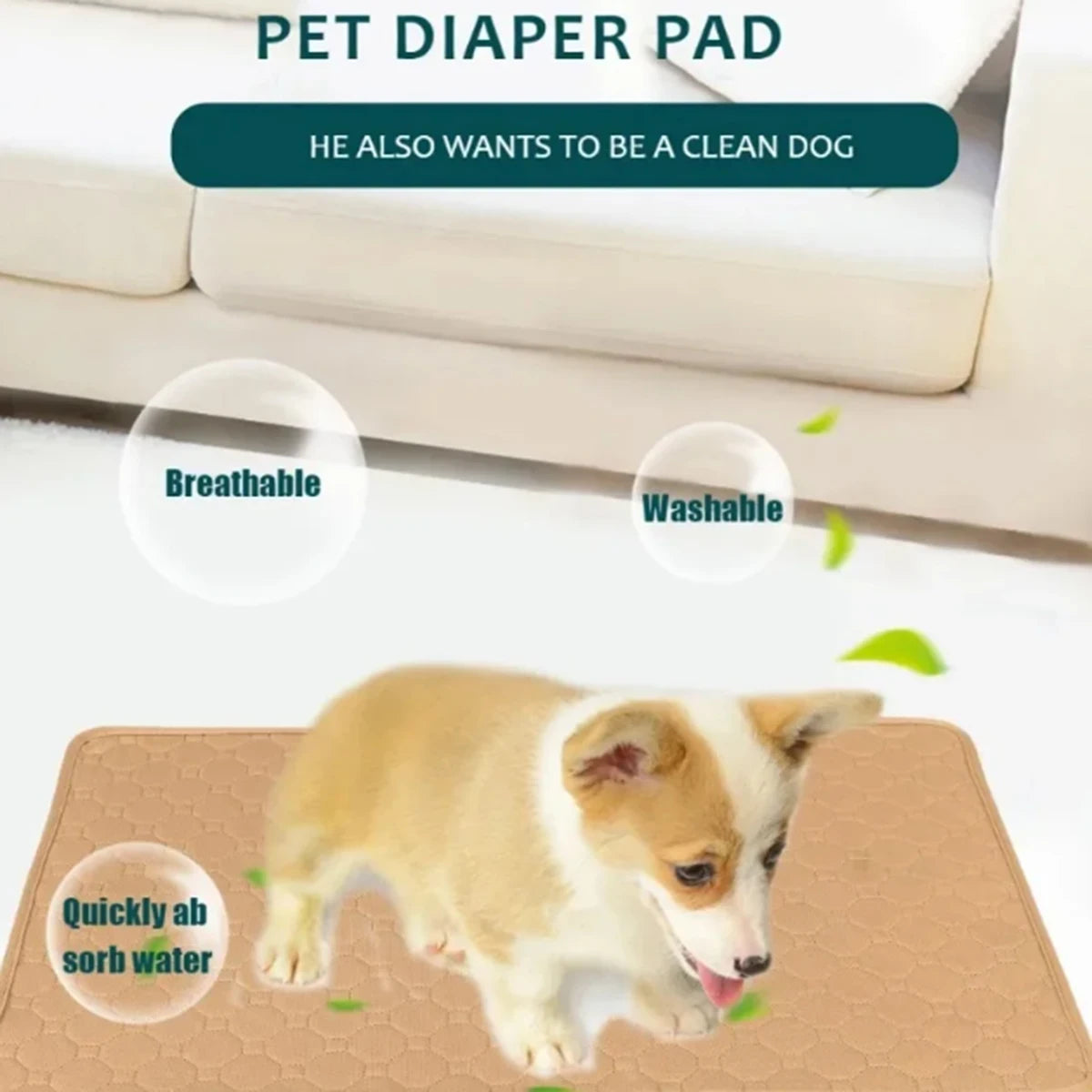 Dog Pee Pad