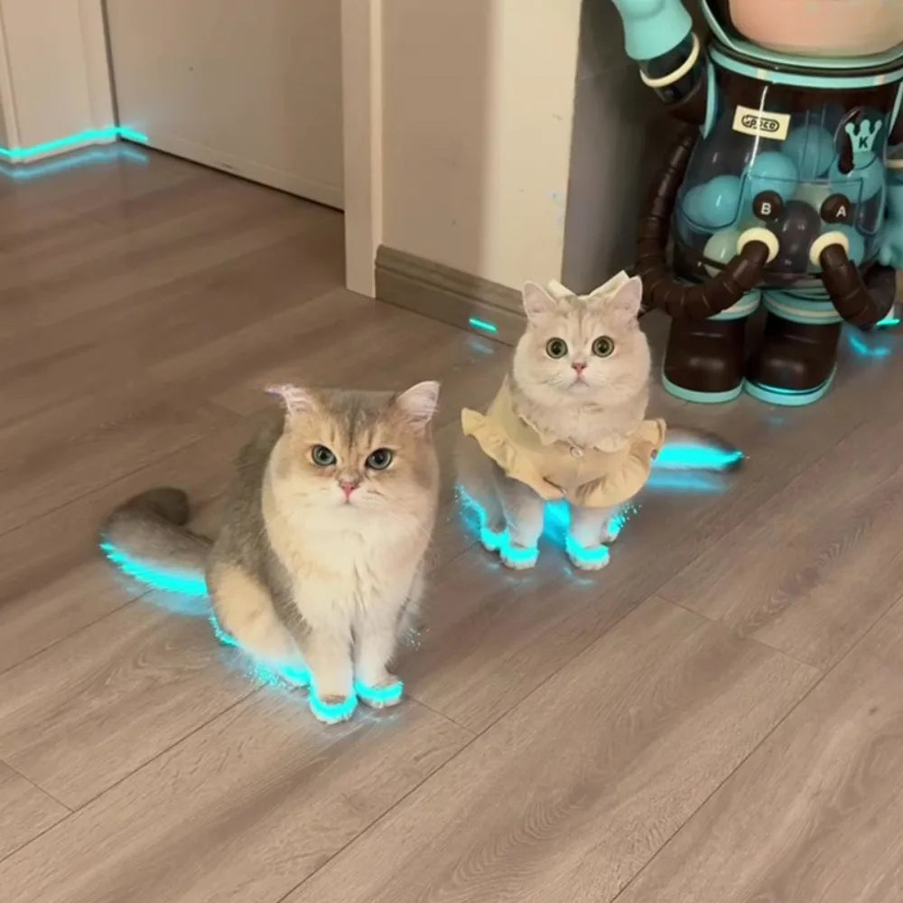 Petzrella Leuchtende Pfotenaufkleber für Katzen