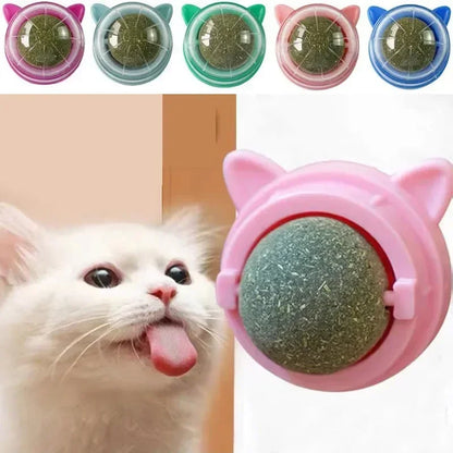 Petzrella Natürliches Katzenminze-Zahnputzspielzeug-Set für Hauskatzen