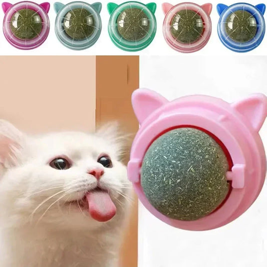 Petzrella Natürliches Katzenminze-Zahnputzspielzeug-Set für Hauskatzen