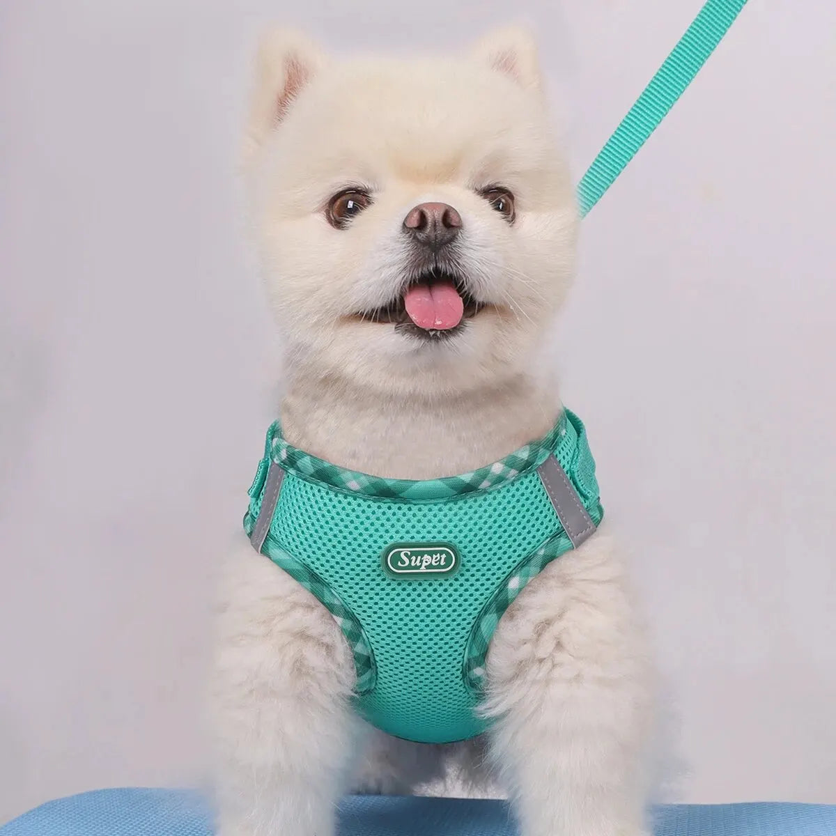 Puppy Dog Harness