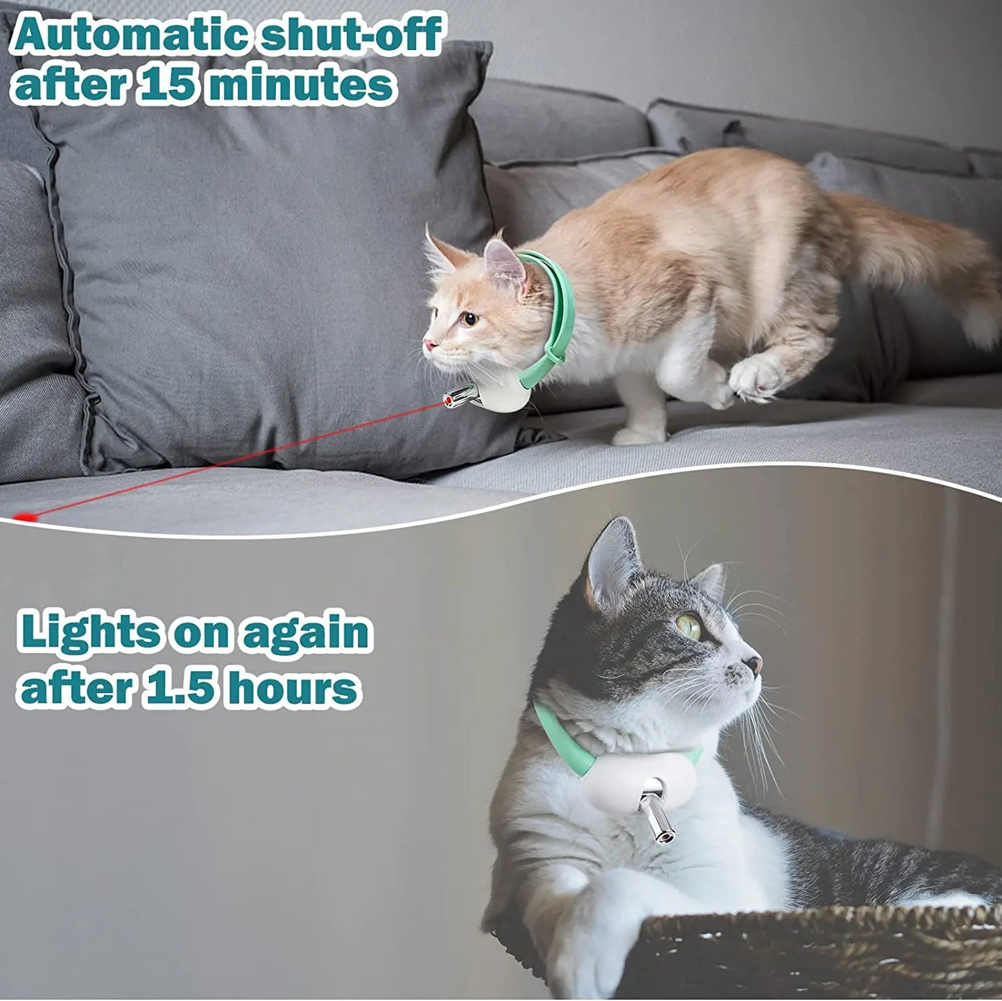 Wearable Laser Collar Toy for Cats