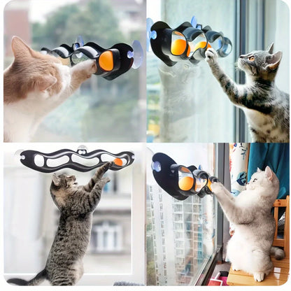 Petzrella Suction Cup Cat Track Toy