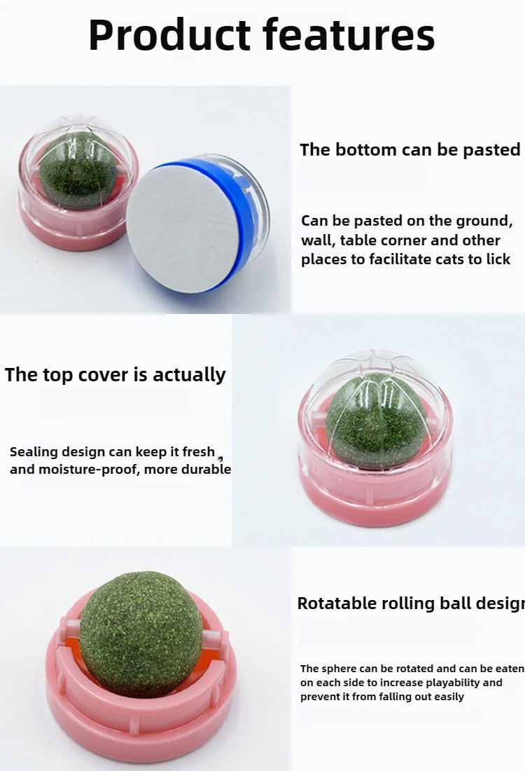 Catnip Dental Toy Set