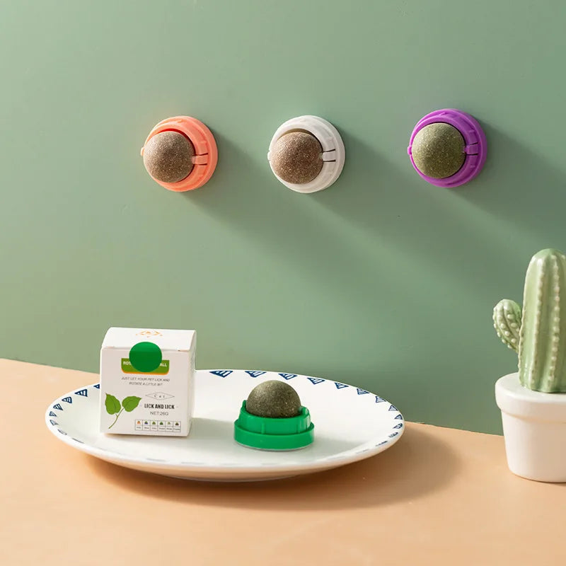 Catnip Dental Toy Set