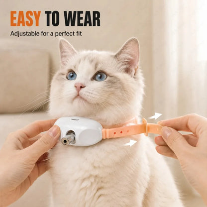 Cat Laser Collar Toy – Interactive Anti-Boredom Laser for Cats