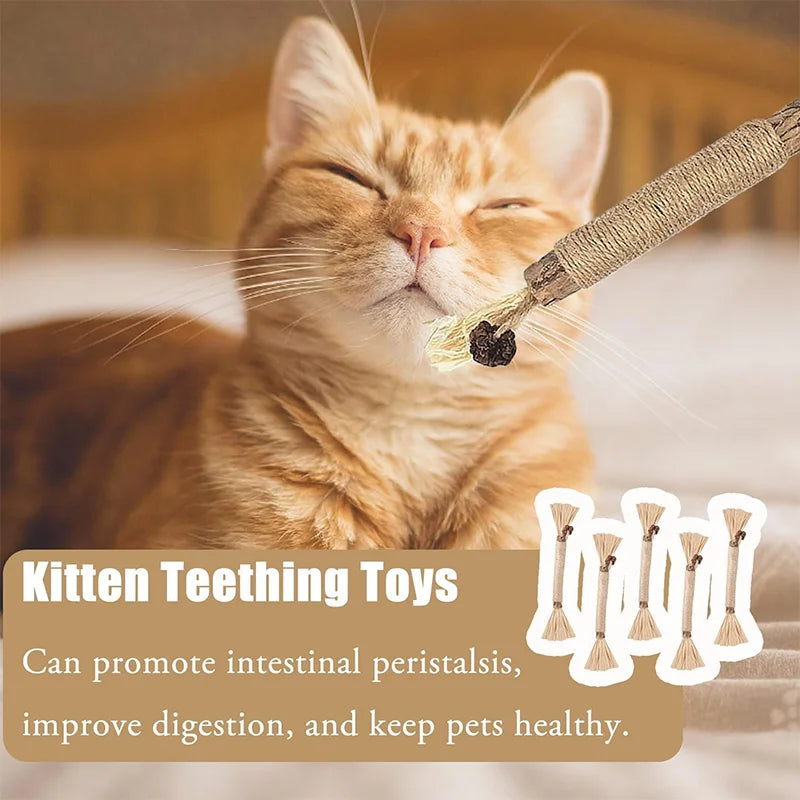 Cat Dental Grinding Chew Sticks for Teeth & Gums