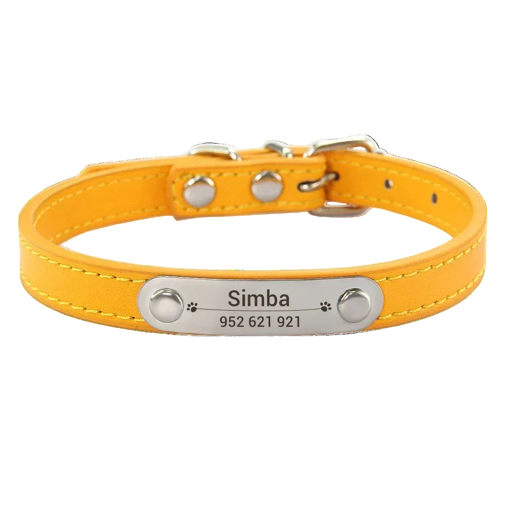 Personalised Collar