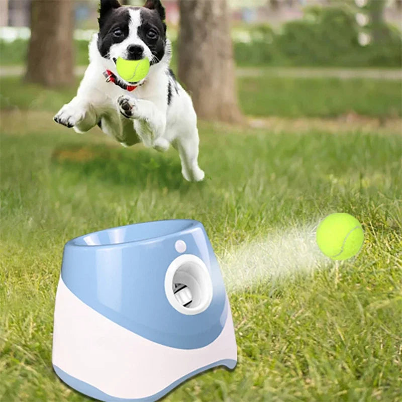 Automatic Dog Tennis Ball Launcher for Interactive Fetch Play