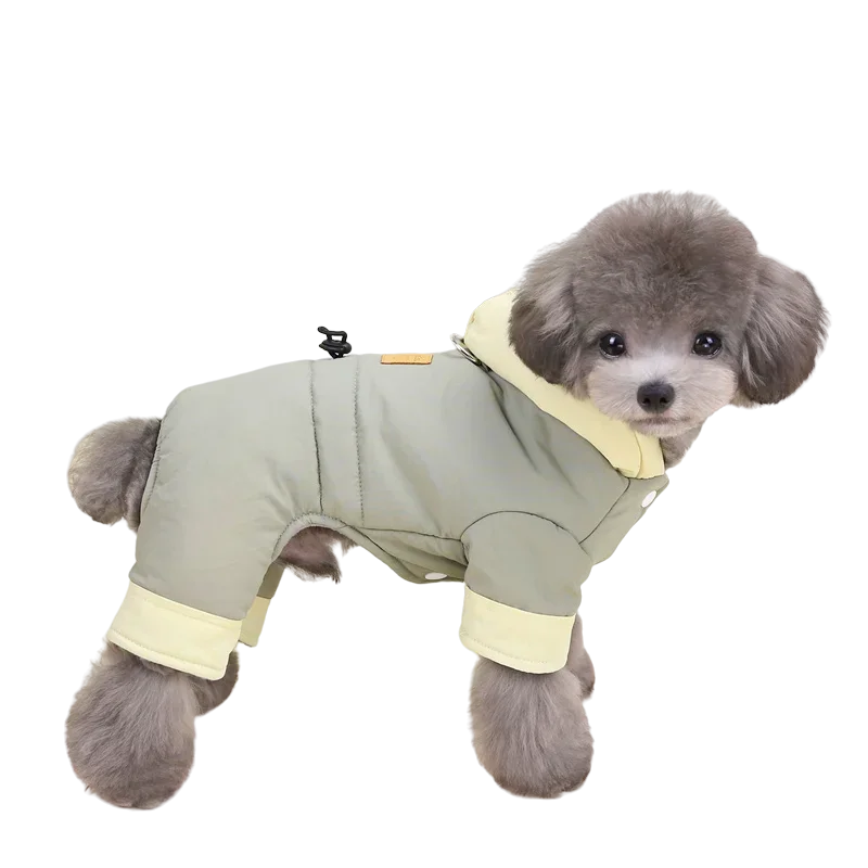 Waterproof Winter Jumpsuit