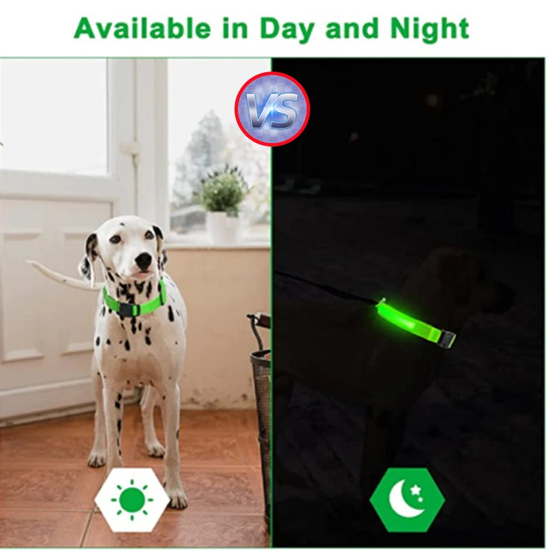 LED Light-Up Safety Collar