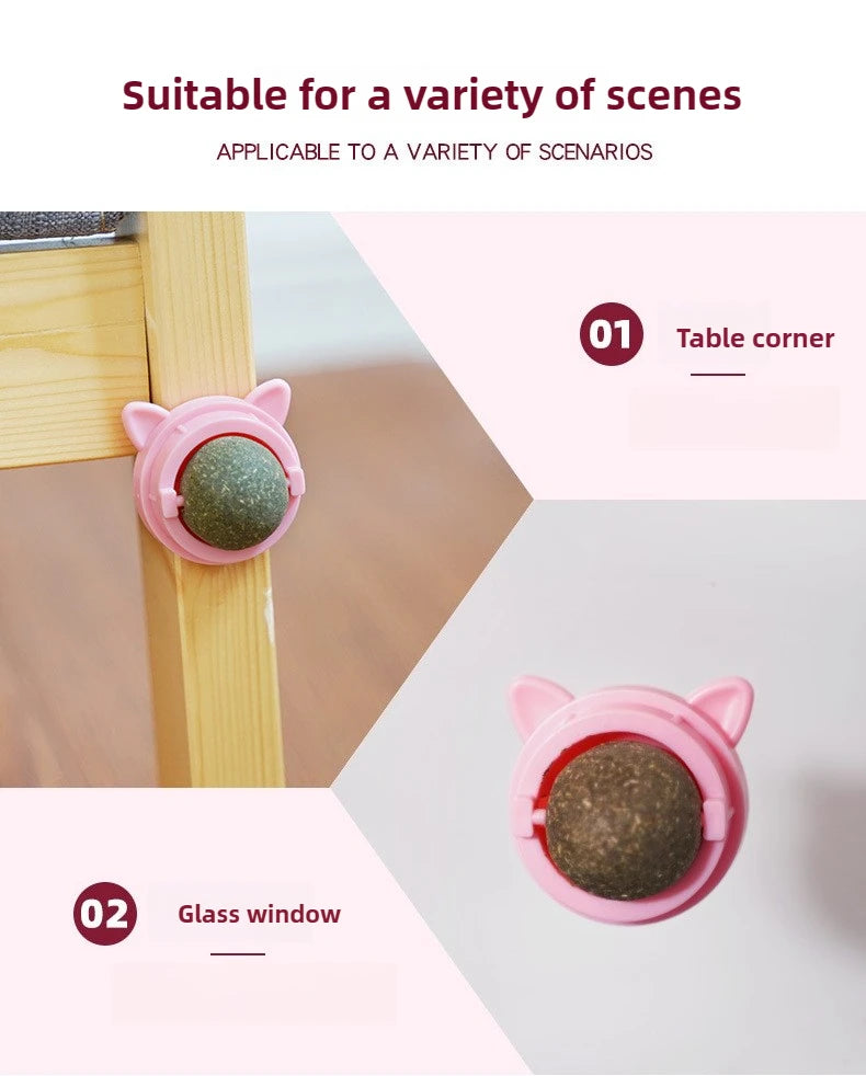 Catnip Dental Toy Set