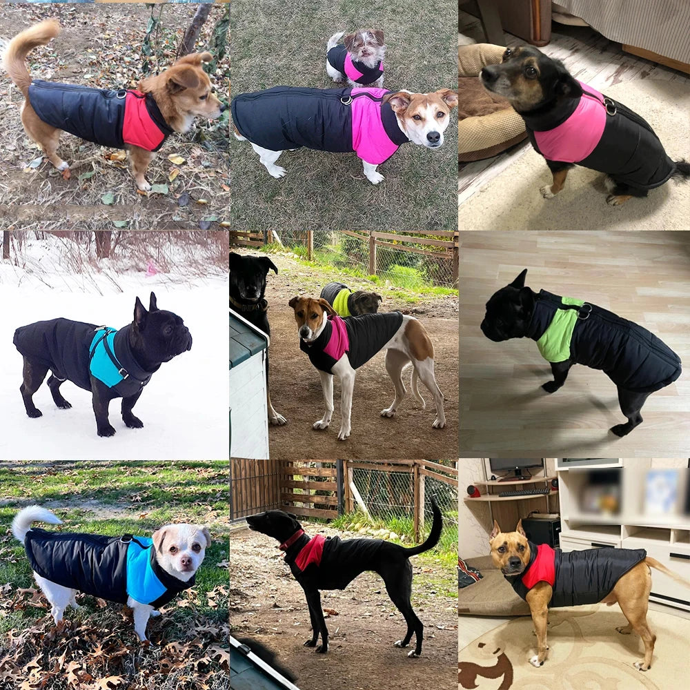 Petzrella All-Size Dog Winter Jacket – XS to 6XL with D-Ring