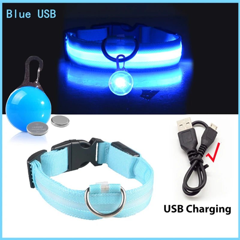 LED Light-Up Safety Collar