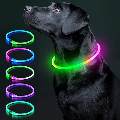 Petzrella LED Pet Collar – USB Rechargeable Night Safety