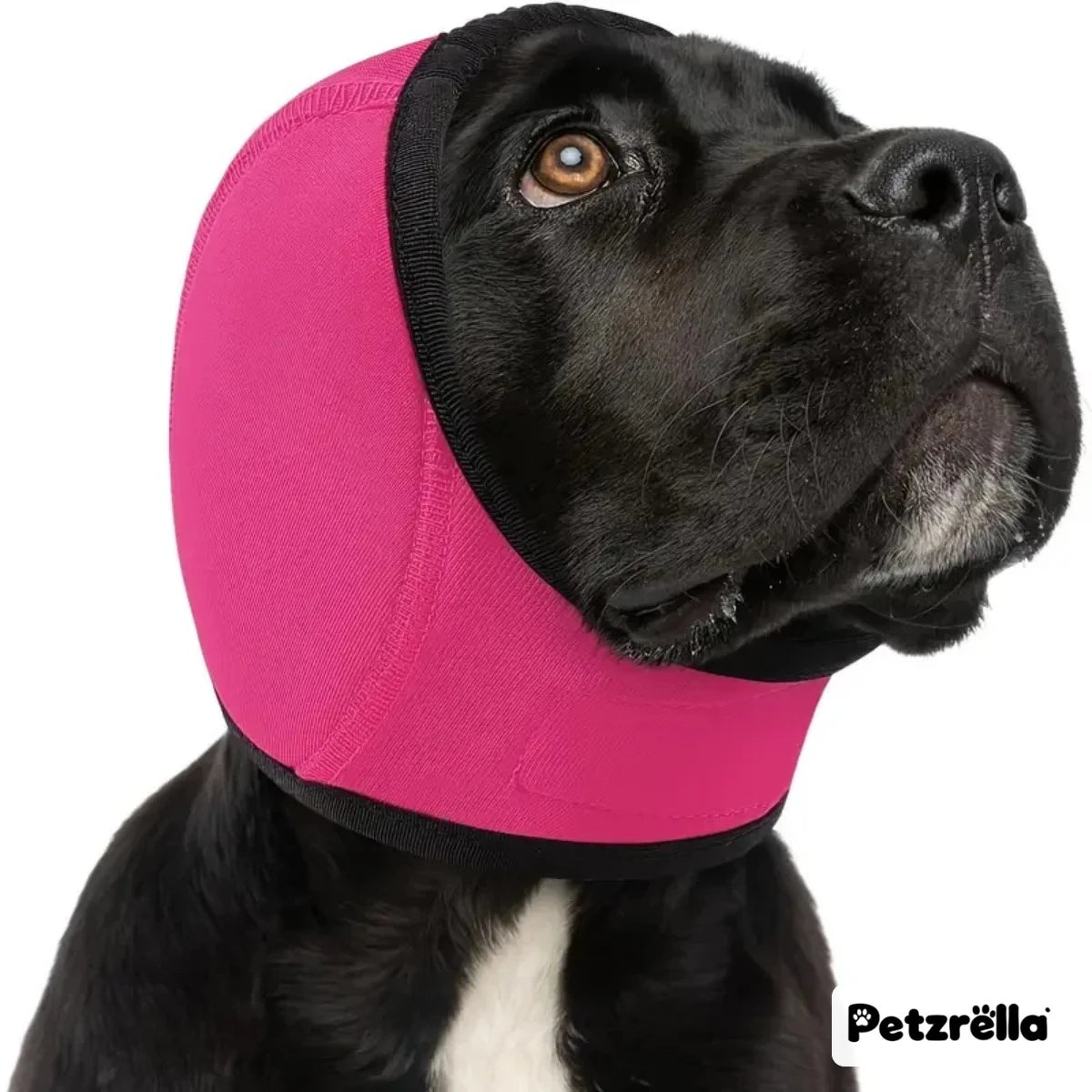 Petzrella Cache-oreilles pour chien – capuche anti-bruit apaisante