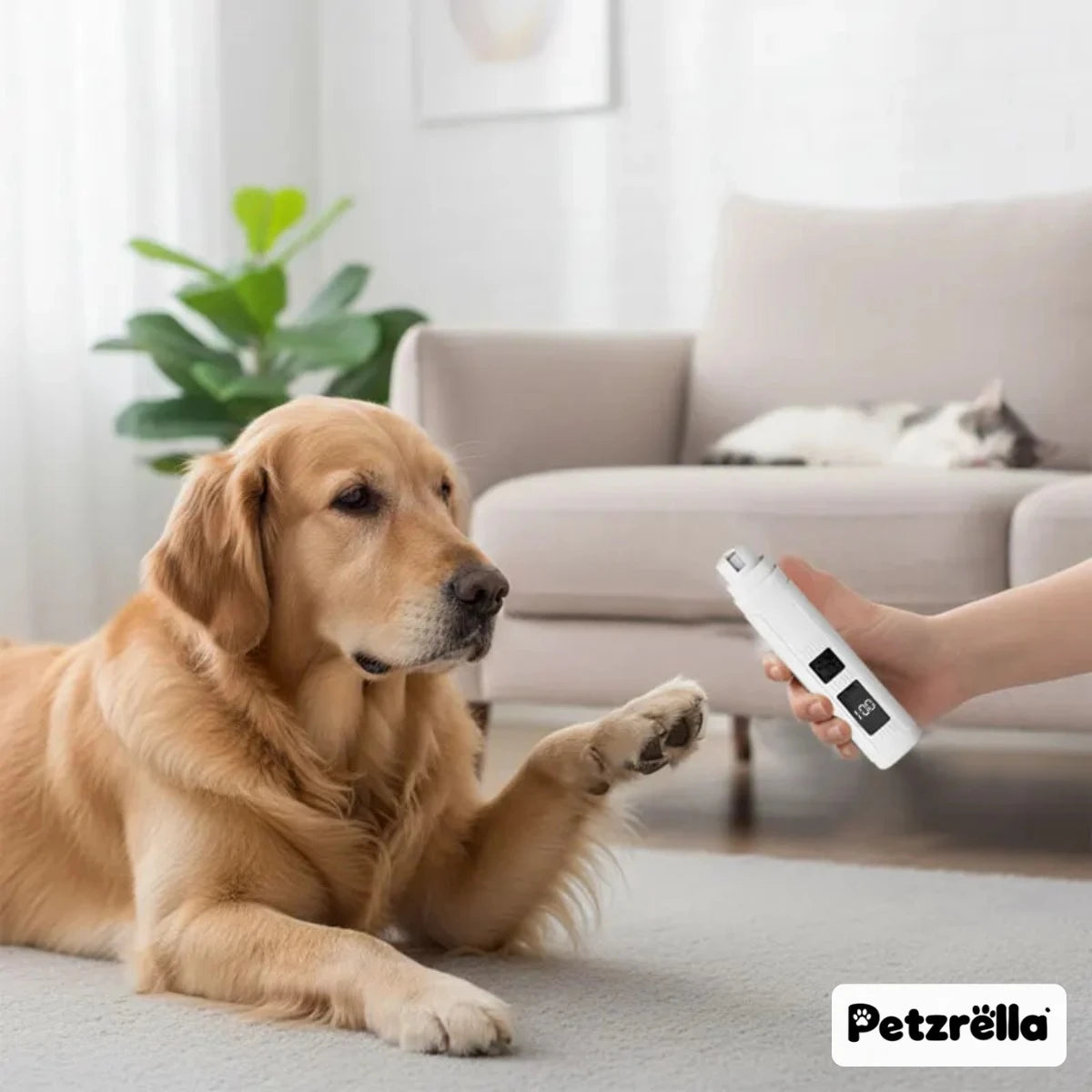 Petzrella Quiet Pet Nail Grinder – Rechargeable with LED Light