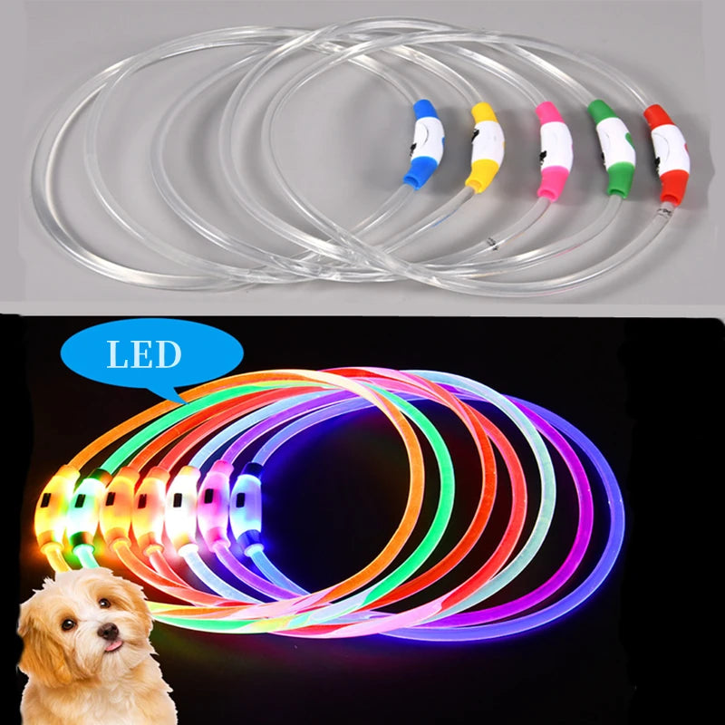 Petzrella LED Pet Collar – USB Rechargeable Night Safety