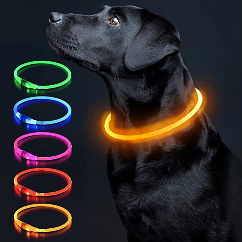 Petzrella LED Pet Collar – USB Rechargeable Night Safety