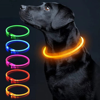 Petzrella LED Pet Collar – USB Rechargeable Night Safety