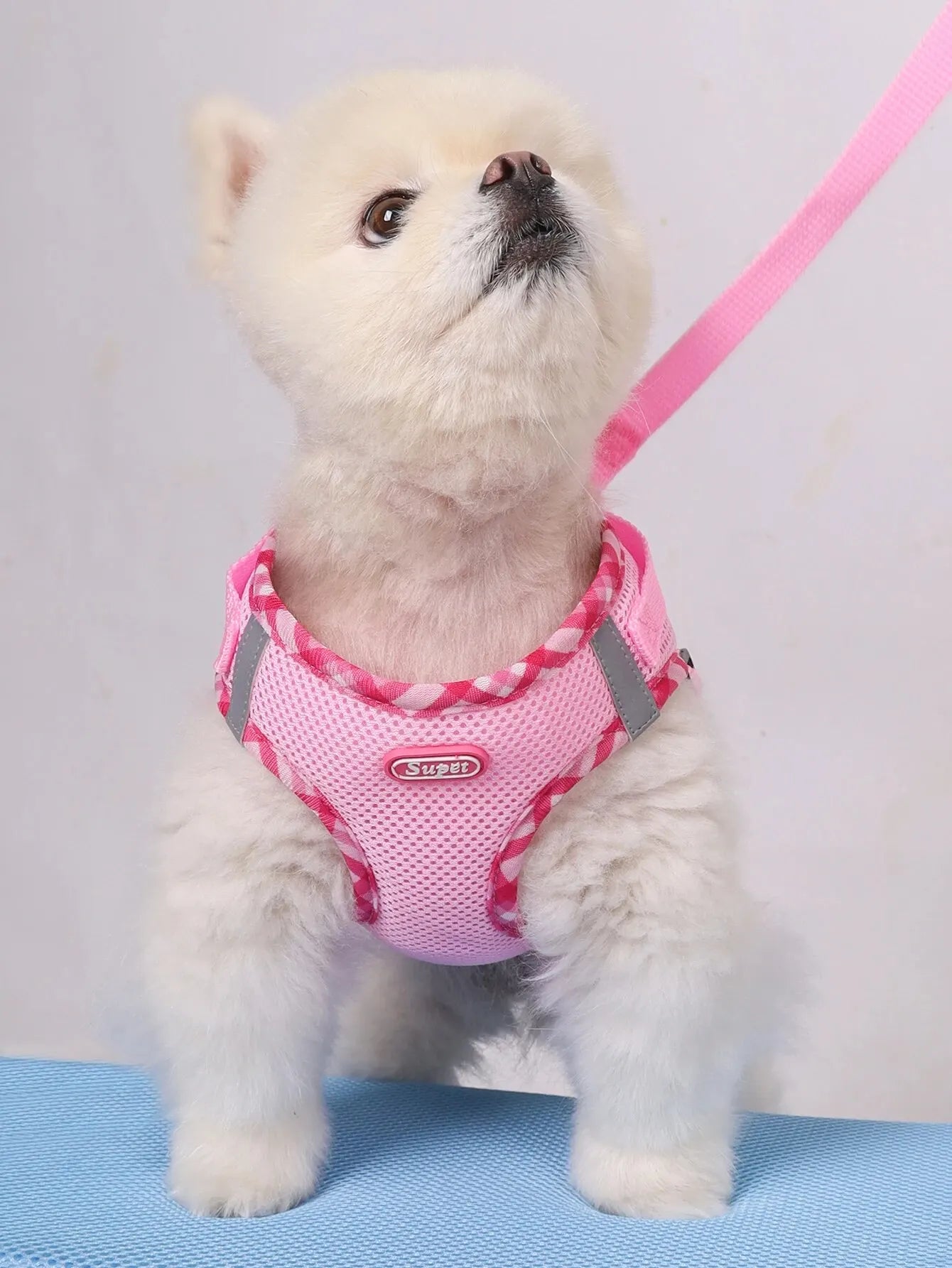 Puppy Dog Harness