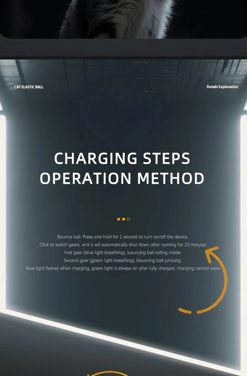 Intelligent Rechargeable Cat Toy Ball with Dual Play Modes