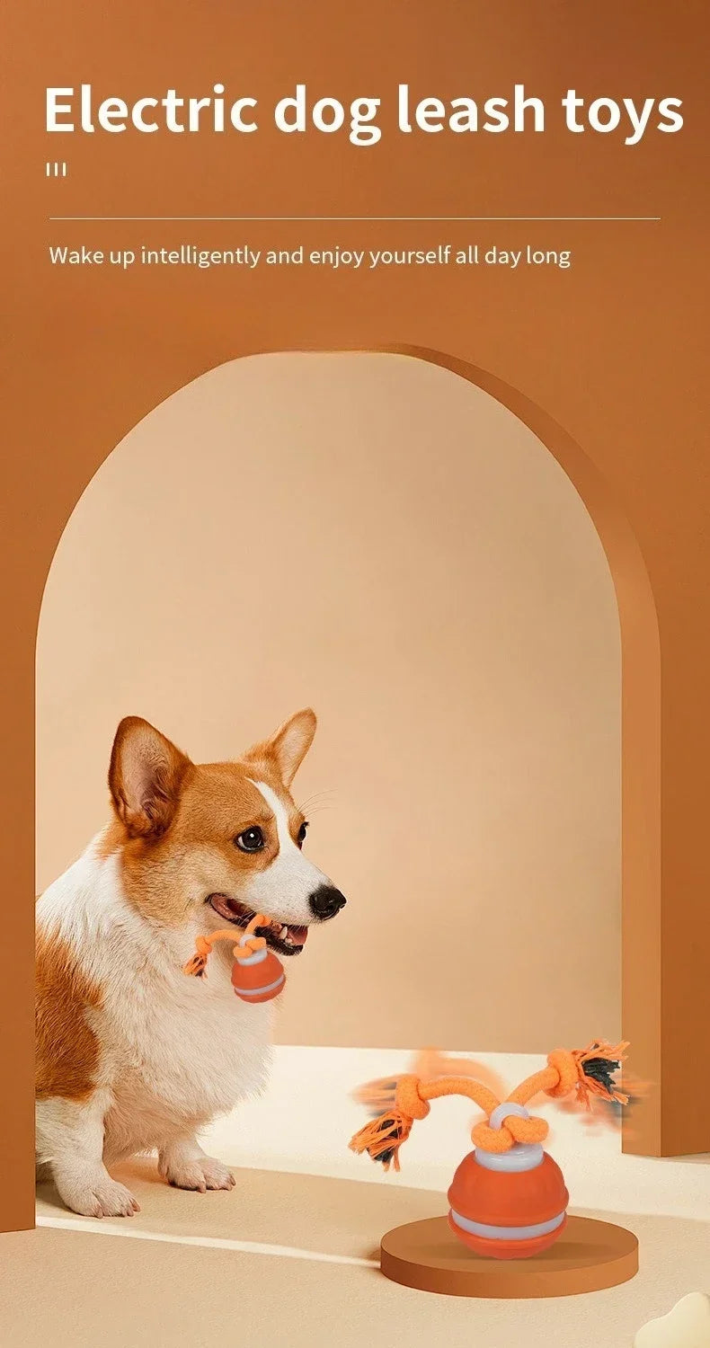 Interactive Rechargeable Dog Toy Ball with Swinging Rope