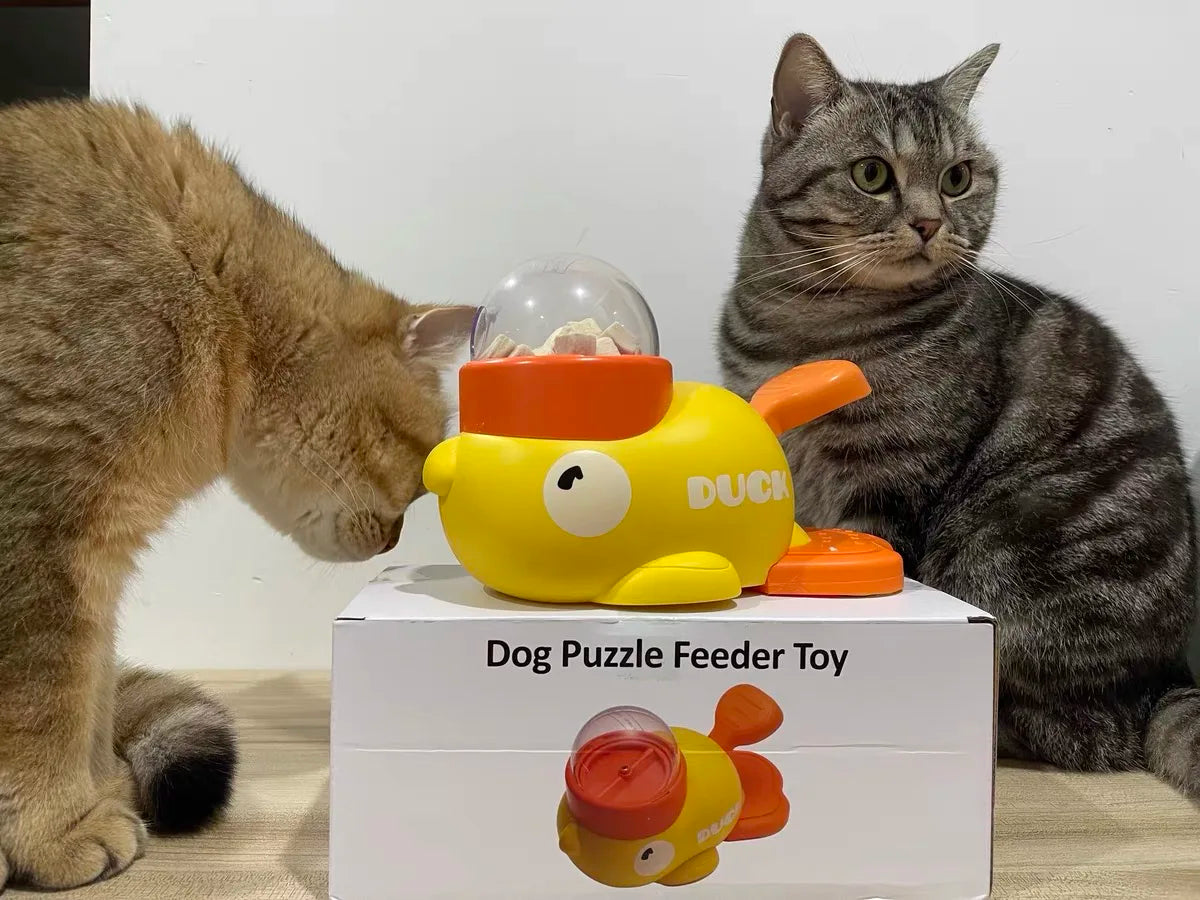 Interactive Food Toy for Cats & Dogs