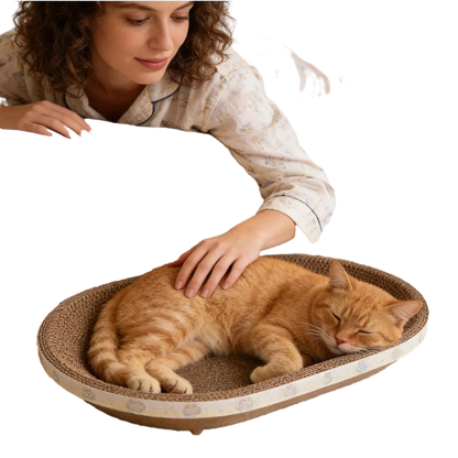 Petzrella 2-in-1 Ovaler Kratzbaum aus Karton und Liegebett für Katzen