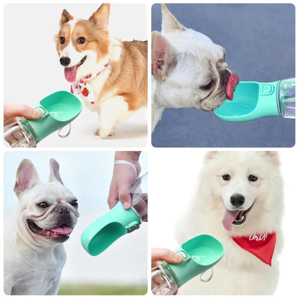 Petzrella Portable Pet Water Bottle for Dogs & Cats