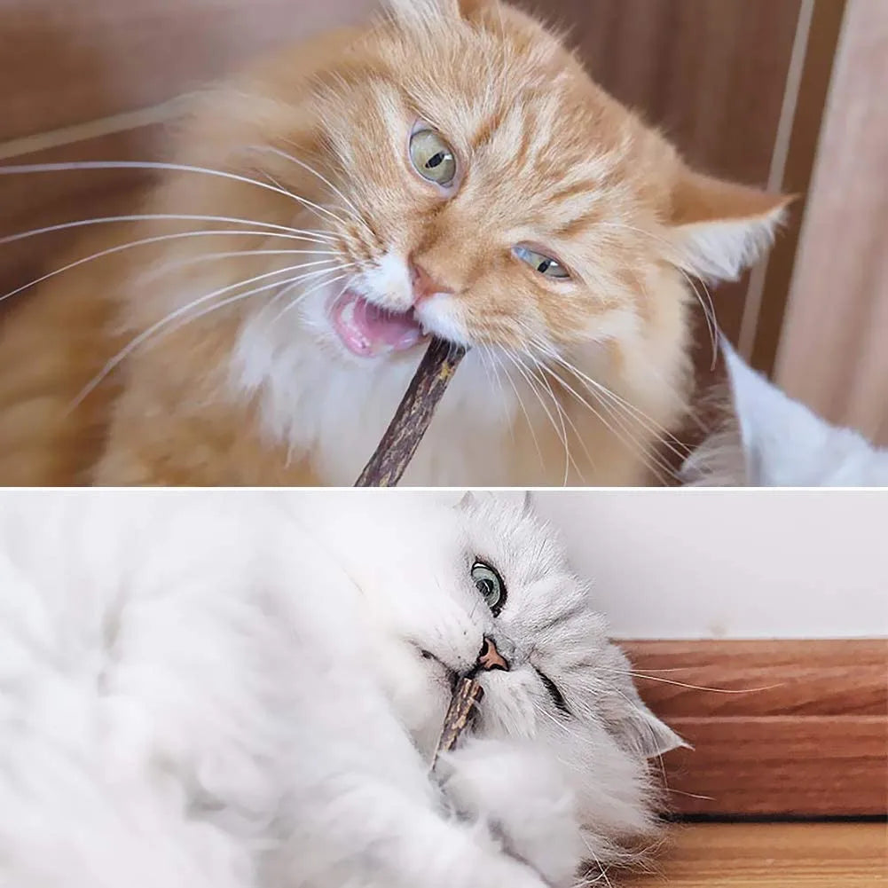 Natural Catnip Wood Sticks – 15-Piece Set for Cats
