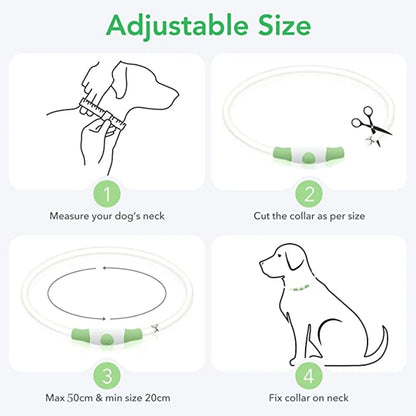 Petzrella LED Pet Collar – USB Rechargeable Night Safety