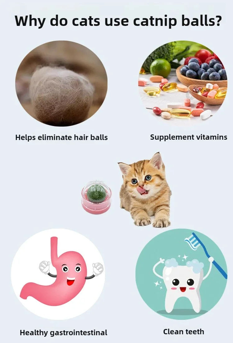 Catnip Dental Toy Set