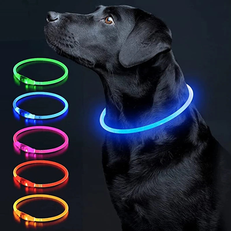 Petzrella LED Pet Collar – USB Rechargeable Night Safety