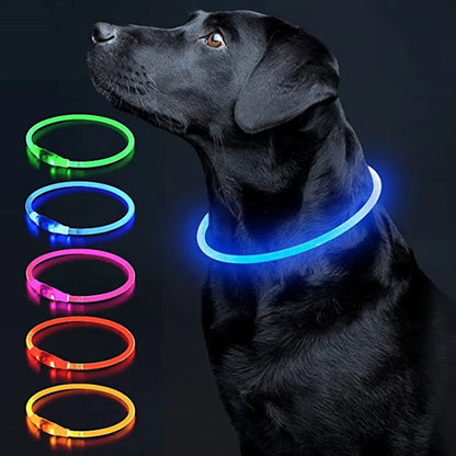 Petzrella LED Pet Collar – USB Rechargeable Night Safety
