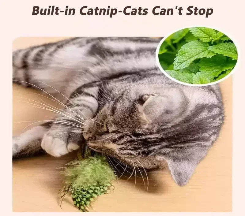 Chirping Bird Cat Toy for Interactive Play